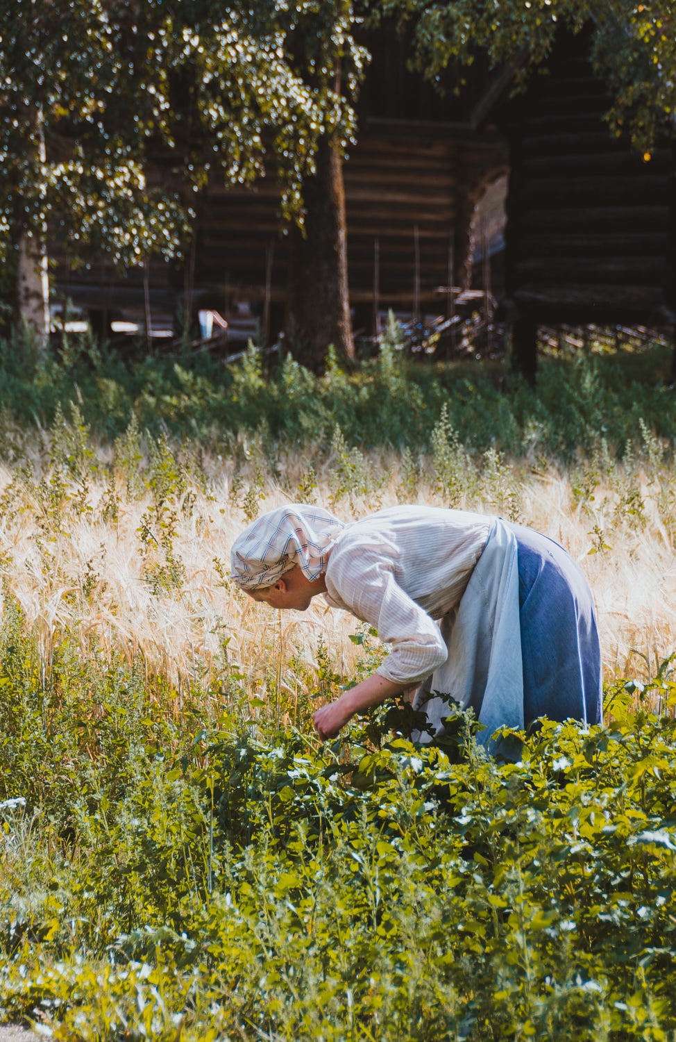 Woman picking herbs from her own garden